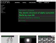 Tablet Screenshot of c-cina.unibas.ch